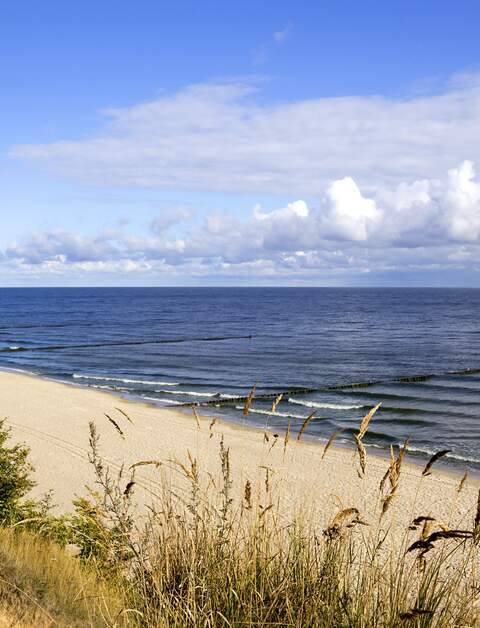Morgen in der Ostsee  | © gettyimages.com/MaRoPictures Horizontale Aufnahme eines leeren Strandes an der Ostsee im Morgenlicht | © gettyimages.com/MaRoPictures