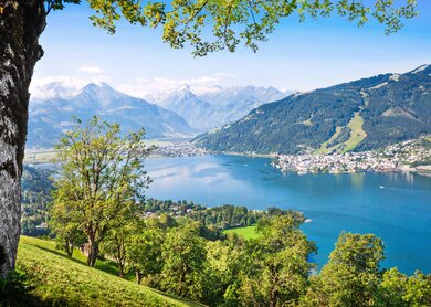 Zell am See | ©  Gettyimages.com/bluejayphoto Zell am See mit Blick durch Baeume | ©  Gettyimages.com/bluejayphoto
