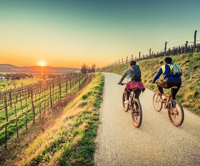 Radfahrer bei Sonnenuntergang im Feld | © GettyImages.com/egon69 Paar faehrt Fahrraedern auf einem Weg am Weinfeld in Richtung Sonnenuntergang | © GettyImages.com/egon69