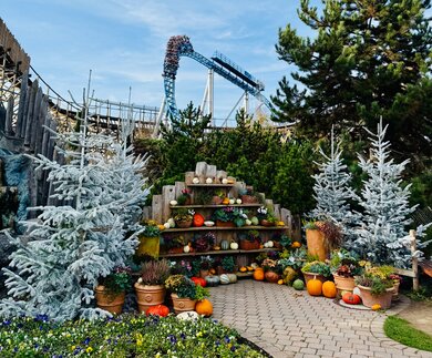 Dekoration zu Hallowinter und im Hintergrund der Megacoaster blue fire im Europa-Park Erlebnis-Resort | © Michelle Khan