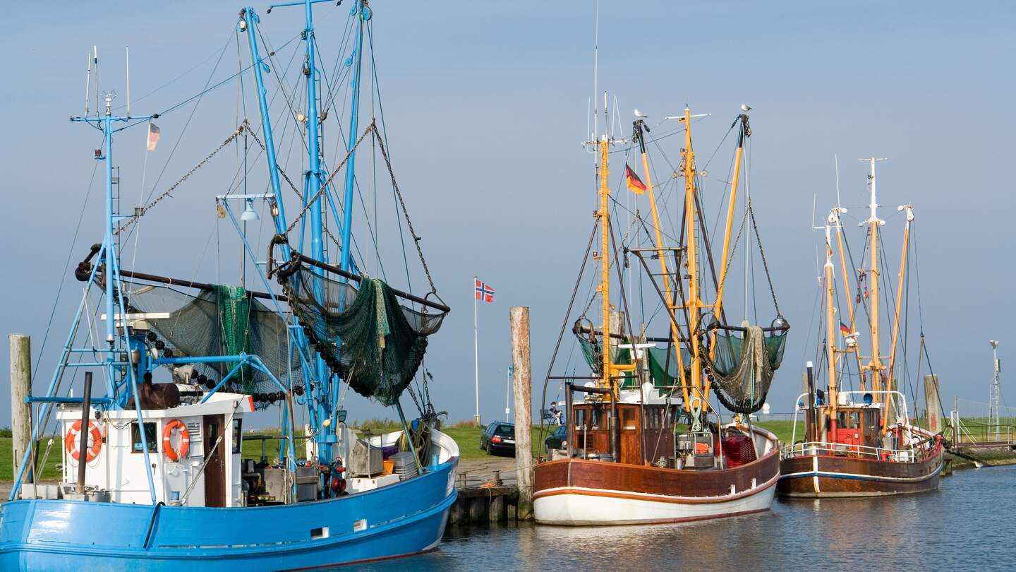 Garnelentrawler in einem kleinen Hafen in der Nähe von Bremerhaven | © Gettyimages.com/hbbolten