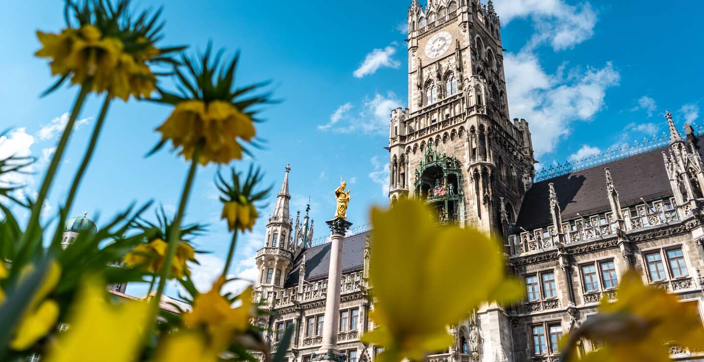 Marienplatz in München mit Frühlingsblumen | © Gettyimages.com/Wirestock