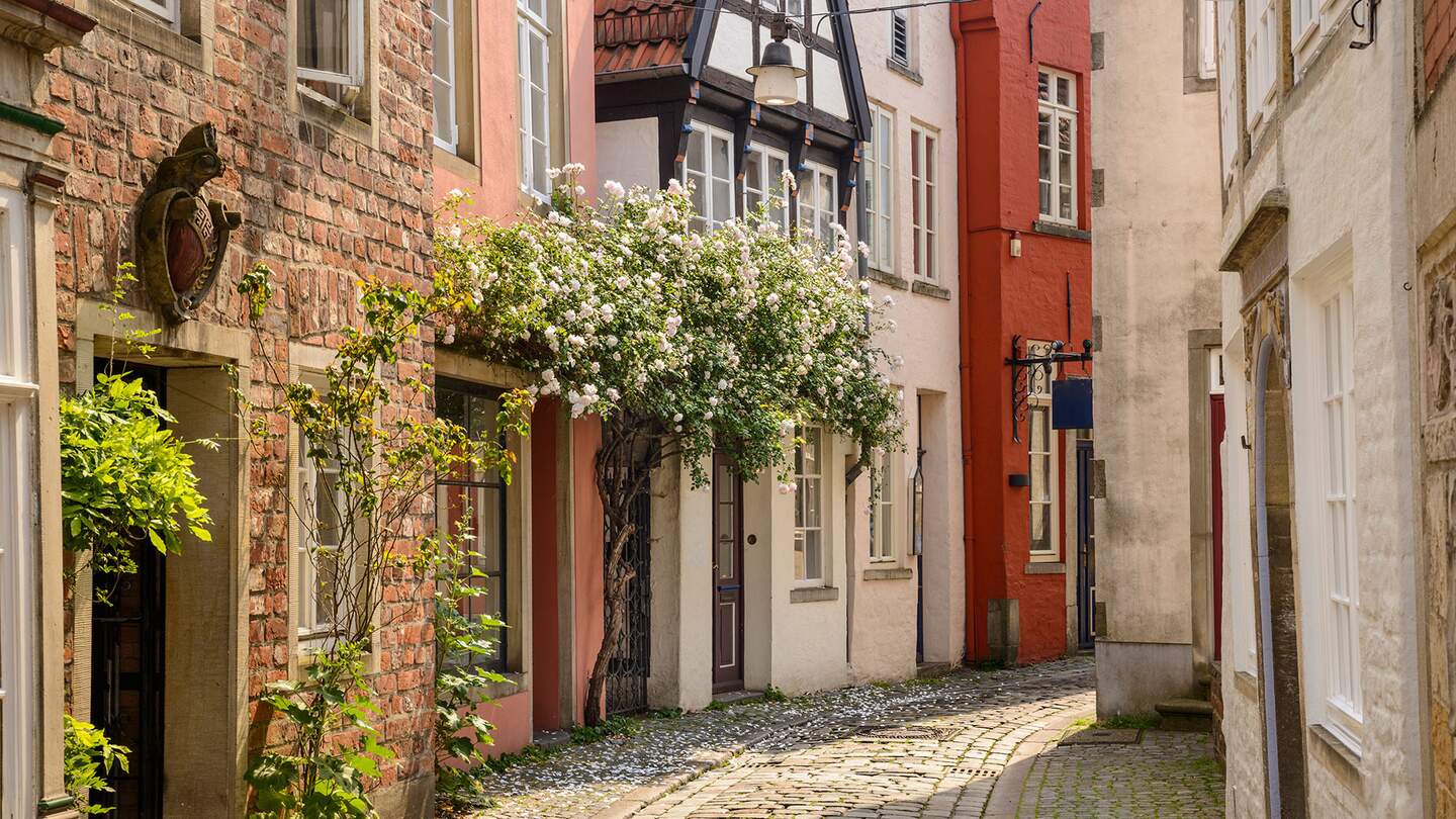 Hell erleuchtete Gasse mit alten Häusern, Kopfsteinpflaster und Blumen in der Bremer Altstadt | © Gettyimages.com/Diego Juliano 2019
