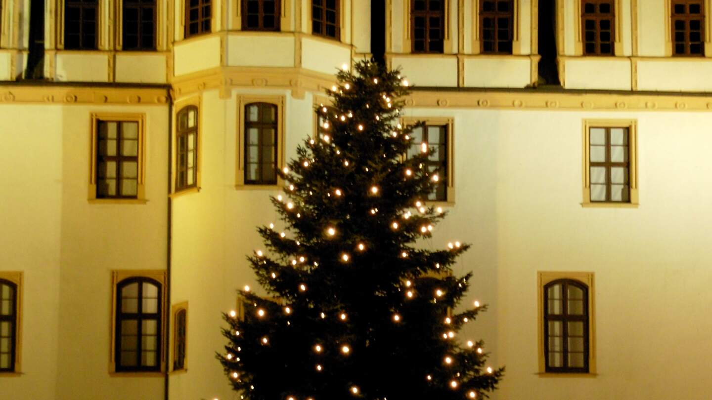 Weihnachtsbaum in Celle bei Nacht vor einem beleuchteten Schloss  | © GettyImages.com/BestTravelPhotography
