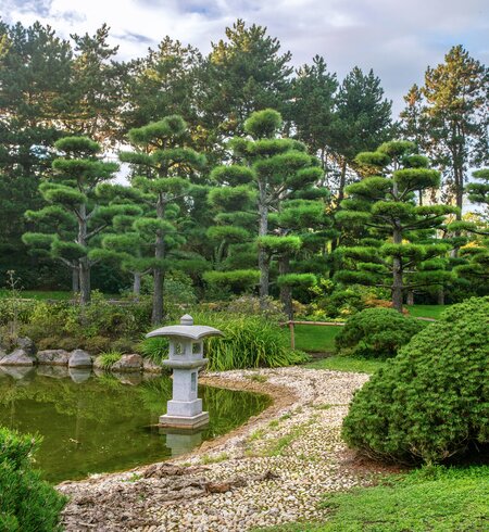 Japanischer Garten im Nordpark in Düsseldorf mit Teich und Formschnittbäumen | © Gettyimages.com/Fotofantastika