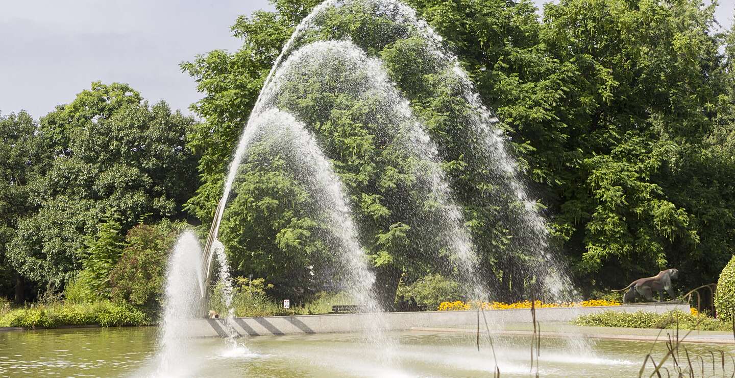 Wunderschöne Springbrunnen in Grugapark Essen | © Gettyimages.com/verve231