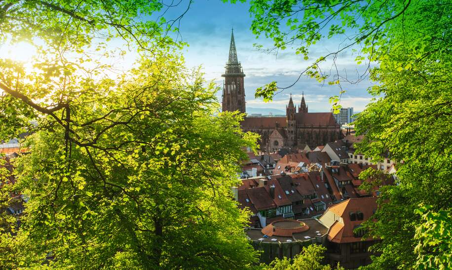 Blick auf das Freiburger Muenster im Sommer | © Gettyimages.com/Simon Dux