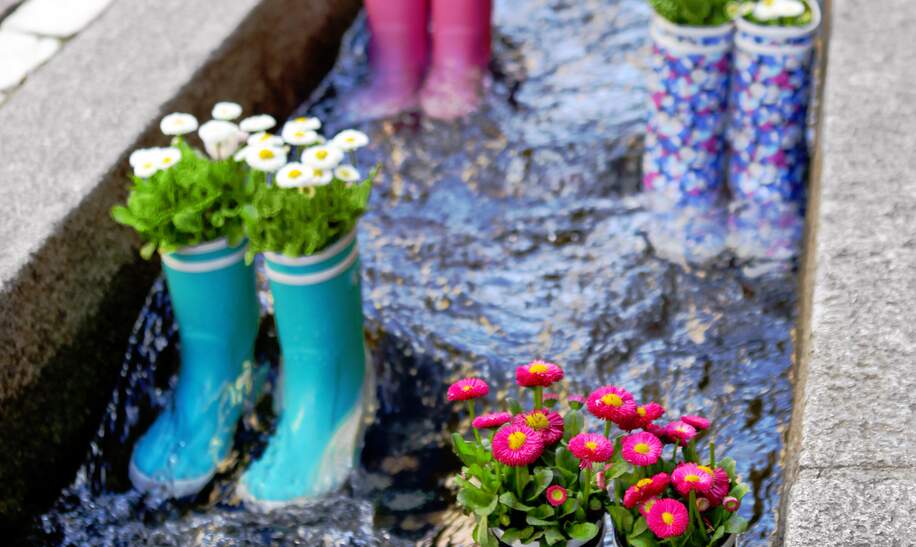 Gummistiefel im Wasser mit Blumen in der Stadt Freiburg | © Gettyimages.com/m_pavlov