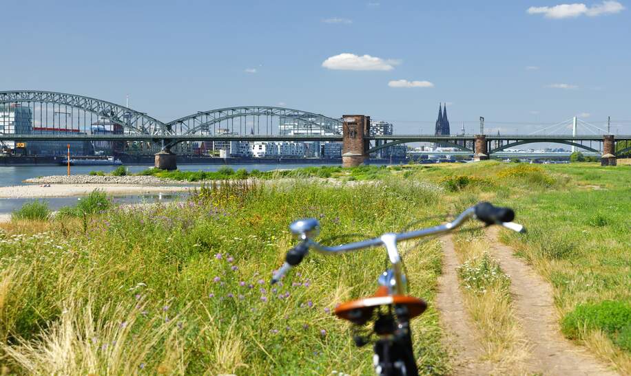 Mit dem Fahrrad in die Pollerwiesen in Köln, Rheinauhafen und Kölner Dom im Hintergrund | © Gettyimages.com/horstgerlach