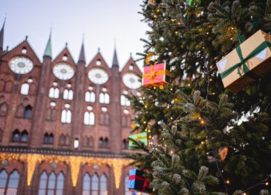 Dekorierter Weihnachtsbaum mit Geschenken vor dem Rathaus in Stralsund | © Gettyimages.com/FluxFactory