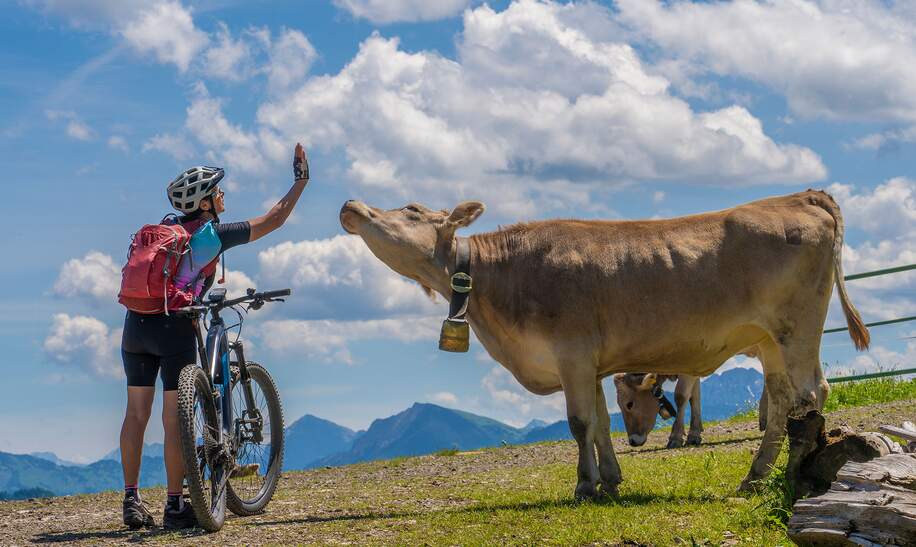Frau mit Mountainbike spricht mit einer Kuh in den Allgauer Alpen | © Gettyimages.com/Uwe Moser