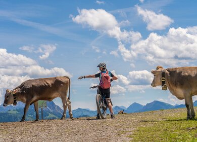 Mountainbikerin im Gespräch mit Kühen auf einer Alm in den Allgäuer Alpen bei Oberjoch | © Gettyimages.com/Uwe Moser