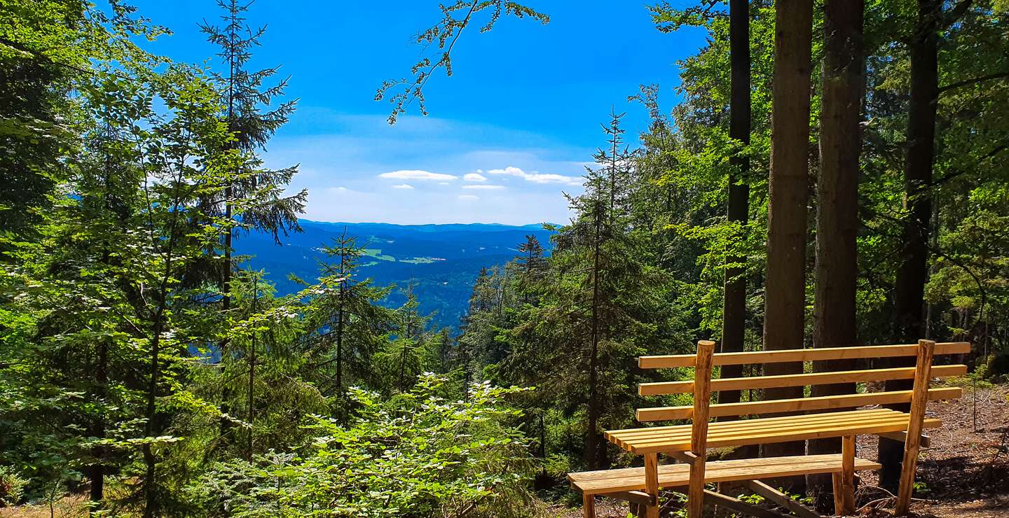 Natürlicher Aussichtspunkt mit einer Holzbank im Vordergrund in der Nähe von Bodenmais im Bayerischen Wald | © © Gettyimages.com/Eisenlohr