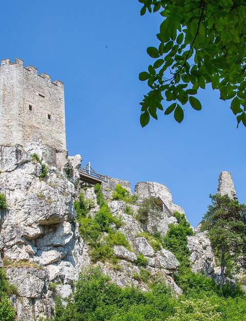 Die Ruinen einer Burg auf einem Felsen | © Pixabay.com/maxmann