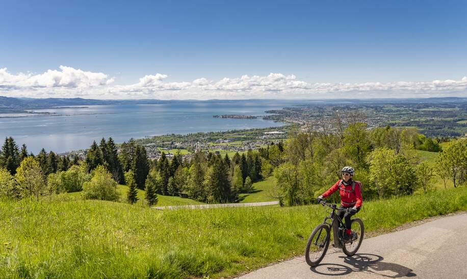 Aktive Seniorin, die einen atemberaubenden Blick über den Bodensee mit schneebedeckten Schweizer Bergen im Hintergrund bewundert | © GettyImages.com/Uwe Moser