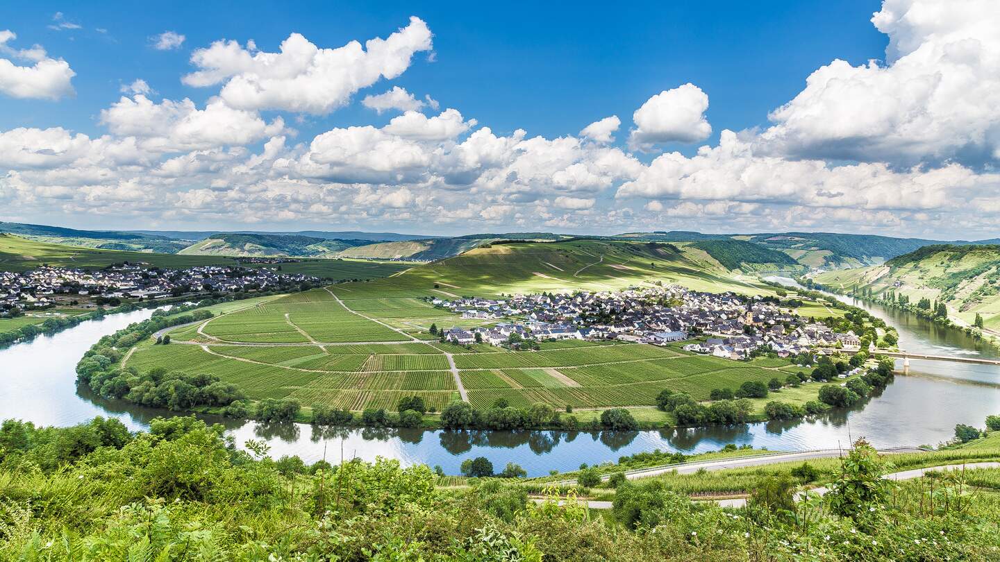 Moselschleife in Trittenheim Rheinland-Pfalz Deutschland  | © gettyimages.com/8vFanl