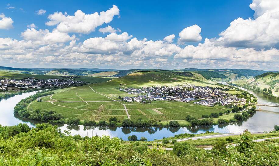 Moselschleife in Trittenheim Rheinland-Pfalz Deutschland  | © gettyimages.com/8vFanl