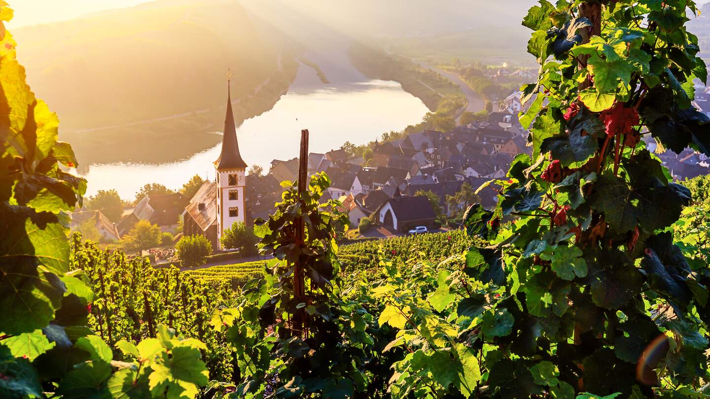 Sonnenaufgang an der Moselschleife Bremm | © gettyimages.com/rpeters86