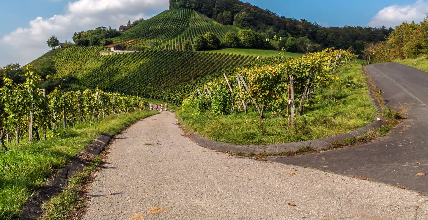 Weinberge an den Haengen | © gettyimages.com/TomekD76