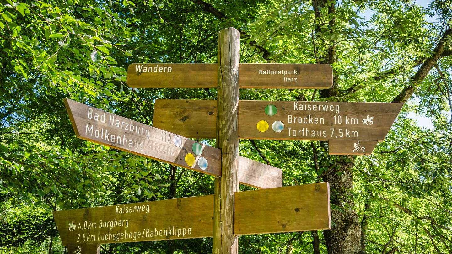 Mehrere Wanderschilder an einer Kreuzung im Nationalpark Harz mit Bäumen im Hintergrund | © Gettyimages.com/atom