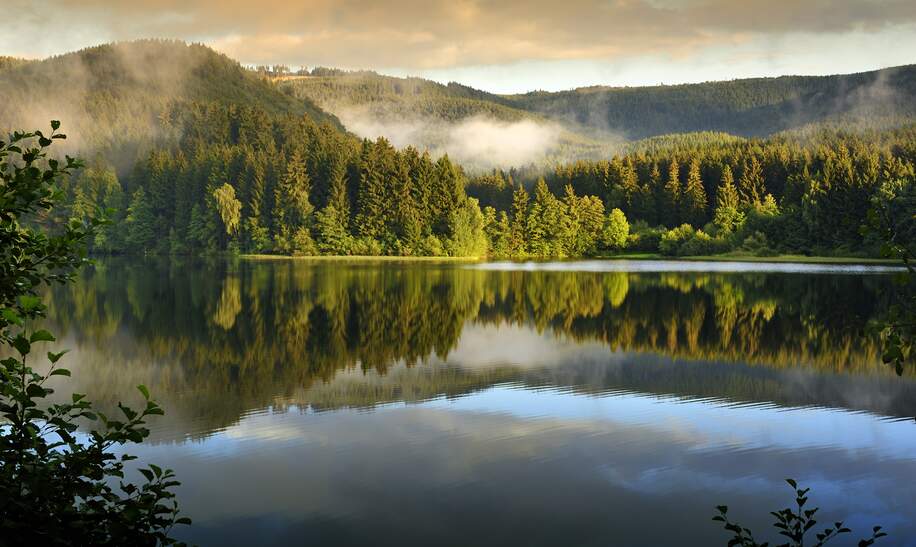 Sösestausee im Harz National Park, Deutschland mit Nebel | © Gettyimages.com/fotografas