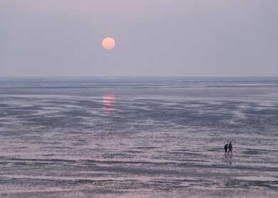 Zwei Menschen spazieren durchs Wattmeer in der Abendsonne | © Gettyimages.com/3quarks