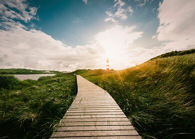 Holzsteg führt durch Wiesen und Wasser zum Leuchturm | ©  Gettyimages.com/Manuel Gutjahr Ein Holzsteg führt bei Sonnenschein durch Wiesen und Wasser zu einem rot weißen Leuchturm | ©  Gettyimages.com/Manuel Gutjahr