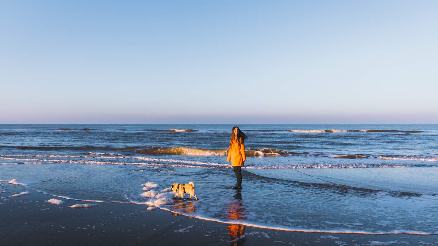 Frau mit langen Haaren und in orangefarbenem Regenmantel und ihr kleiner Hund - Mopsrasse haben eine tolle Zeit am Strand, spielen mit Wellen, laufen und laufen  | © Gettyimages.com/anastasiiashavshyna