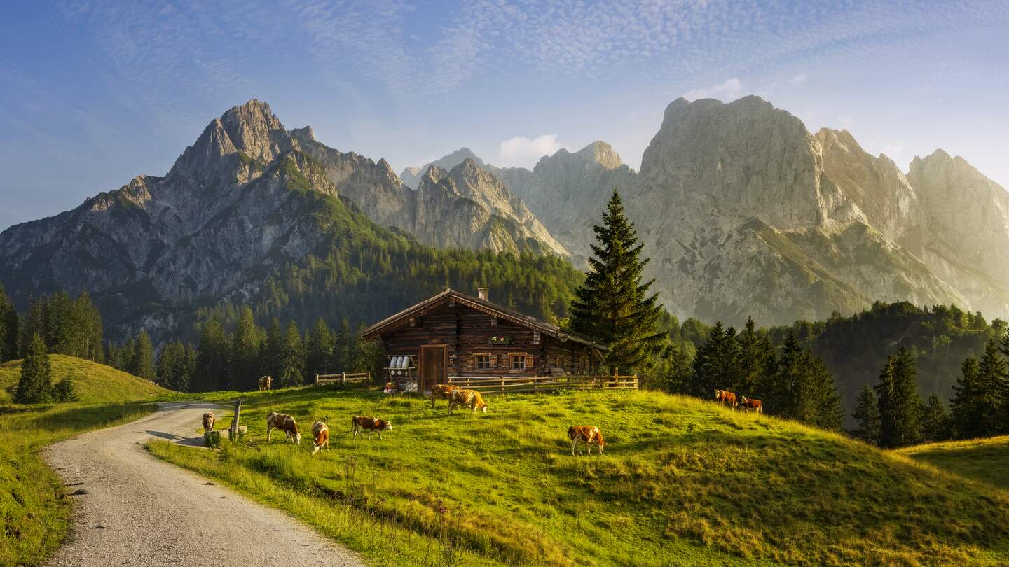 Idyllische Landschaft in den Alpen mit uriger Berghütte und frischen grünen Almen bei Sonnenaufgang | © Gettyimages.com/dietermeyrl