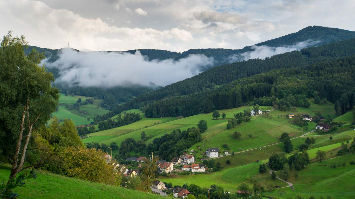Schwarzwald Ansicht der Landschaft | © © Gettyimages.com/Simon Dux