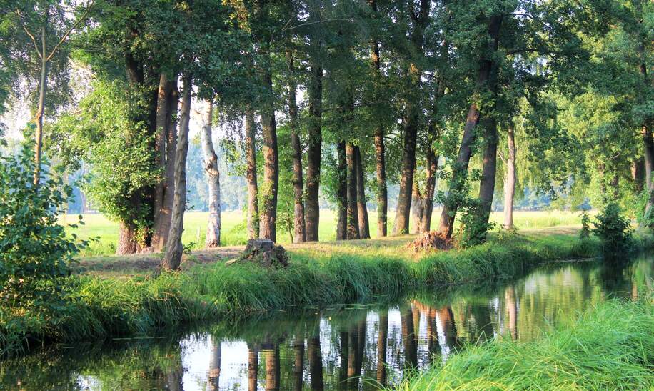 Naturerlebnis im Spreewald mit Wasserwegen in ruhiger Natur in Brandenburg | © Gettyimages.com/Andie_Alpion