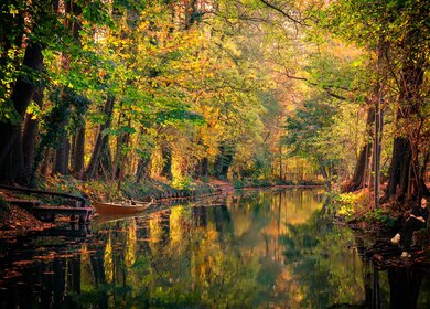 Spreewald-Wasserkanal mit Boot an der Seite im Herbst in Brandenburg | © Pixabay.com/guvo59 