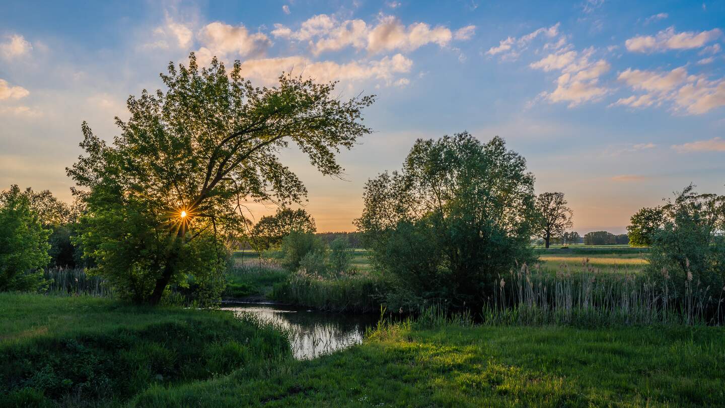 Sonnenuntergang auf einem natürlichen Fluss in einer ländlichen Gegend, dem Spreewald in Brandenburg | © Gettyimages.com/petraschneider