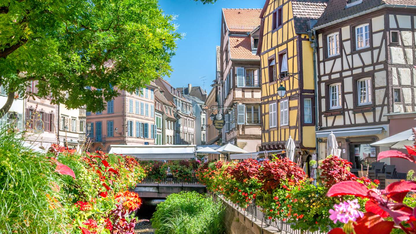 Altstadt von Colmar mit Blick auf den Fluss Lauch und Blumen im Vordergrund | © Gettyimages.com/adisa