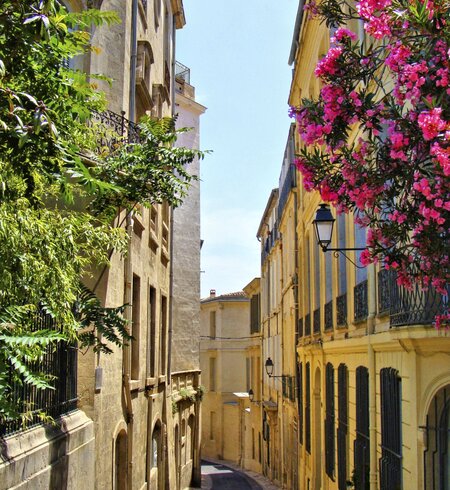 Blumen-Futter einer engen Straße in der Altstadt von Montpellier | © Gettyimages.com/jenifoto