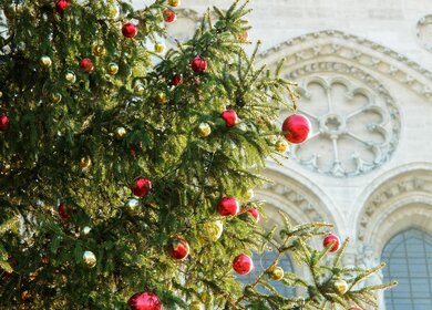 Paris mit Weihnachtsbaum vor der Kathedrale Notre-Dame de Paris | © Pixabay/Peggy_Marco