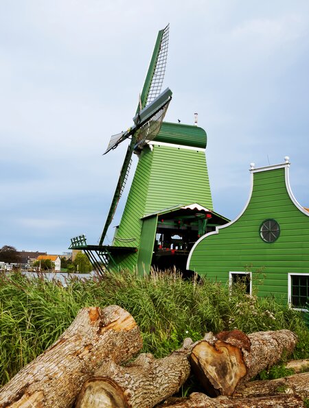 Uferszene der Grünen Windmühlen, mit Schliff und Baumstämmen, in Zaanse Schans bei Amsterdam in den Niederlanden | © Gettyimages.com/mareandmare