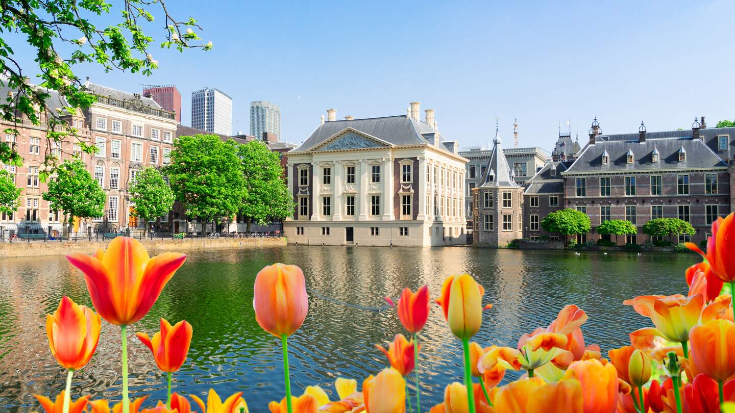 Stadtzentrum von Den Haag mit blühenden orangenen Tulpen | © Gettyimages.com/neirfy