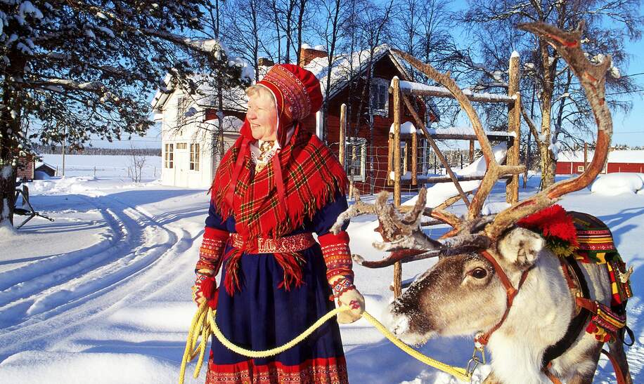 Finnland Rentier  Schlittenfahrt Schnee | © Visit Finland