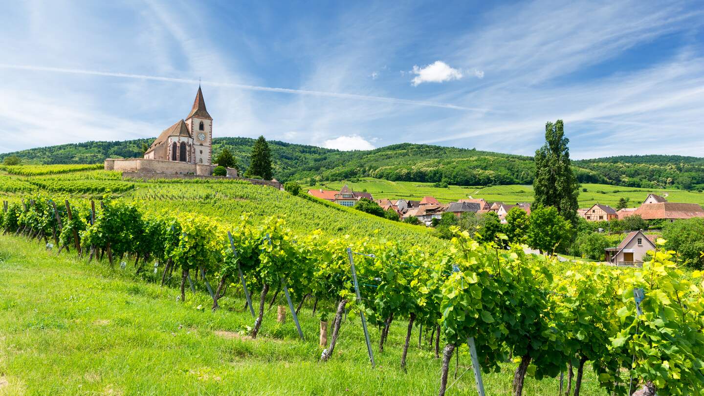 Alte Kirche und Weinberge in Hunawihr Dorf im Elsass/Frankreich  | © Gettyimages.com/milenapigdanowiczfidera
