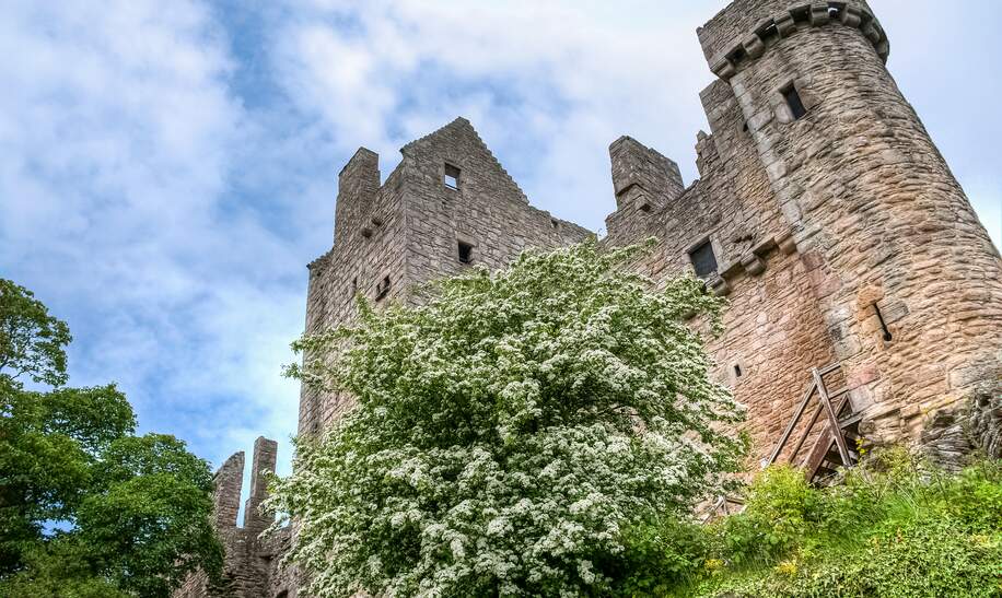 Niedriger Winkel der Burgmauern von Craigmillar, in der Nähe von Edinburgh, Schottland, Großbritannien | © Gettyimages.com/davidboutinphotography