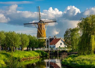 Idyllische holländische Landschaft, traditionelle Windmühle am Kanal in Etten-Leur, Provinz Nordbrabant | © GettyImages.com/	Milos Ruzicka