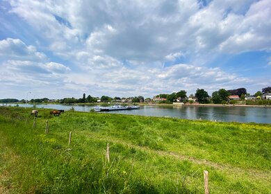 Blick von Beesel über grüne Landwirtschaftswiese mit Pferd und Fluss Maas und Fähre in der Provinz Limburg | © GettyImages.com/	Ralf Liebhold