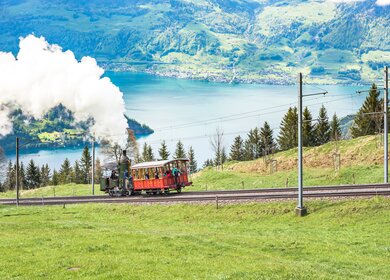 Dampfbahn Lok. Nr. 7 auf der Rigi in der Zentralschweiz   | © RIGI BAHNEN AG/Sascha Krähenbühl  