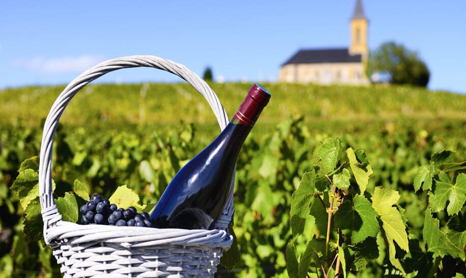 Typische Flasche Rotwein in der Landschaft von Bordeaux | © Gettyimages.com/ventdusud